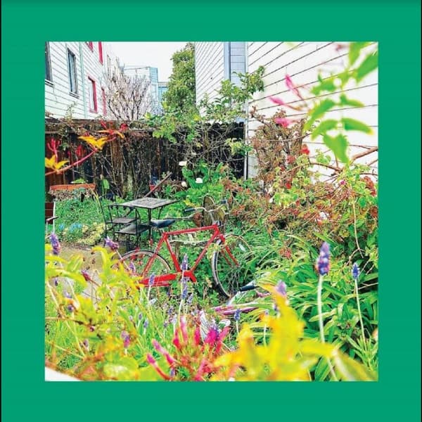 Reds Pinks And Purples: Unwishing well 2024 (CD)