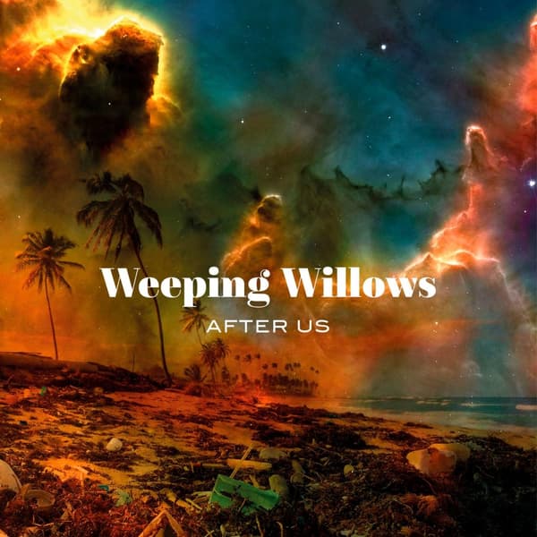 Weeping Willows: After us 2019 (CD)