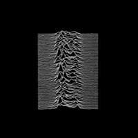 Joy Division: Unknown pleasures 1979 (Rem) (2 CD)