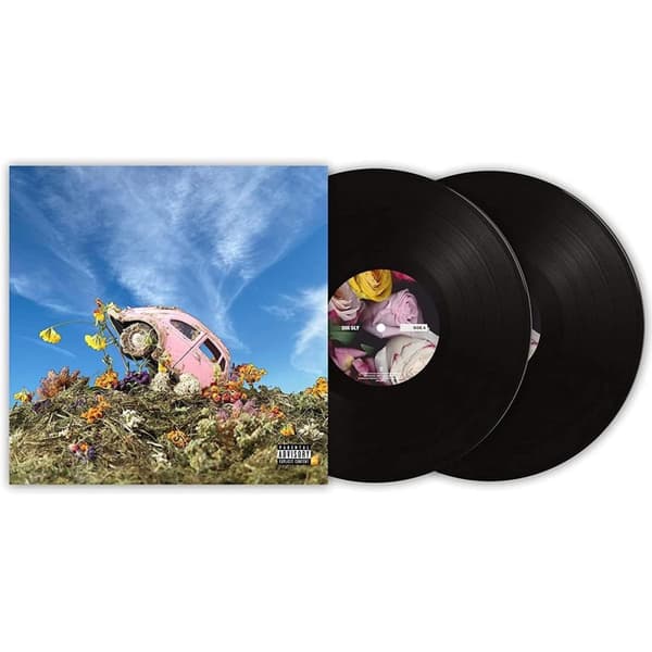 Sir Sly: The rise & fall of loverboy (2 Vinyl LP)