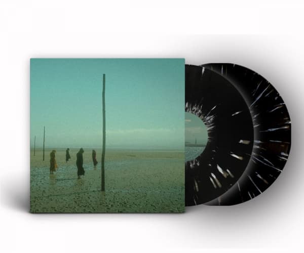 Devils Witches: In all her forms (Black/White) (2 Vinyl LP)