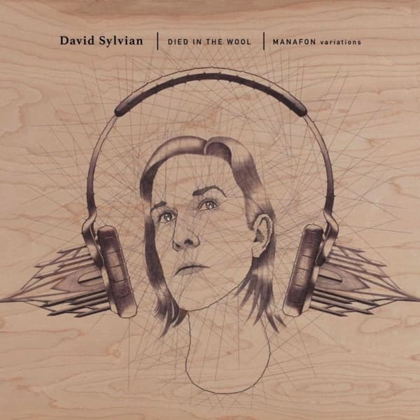 Sylvian David: Died in the wool - Manafon var. (2 Vinyl LP)