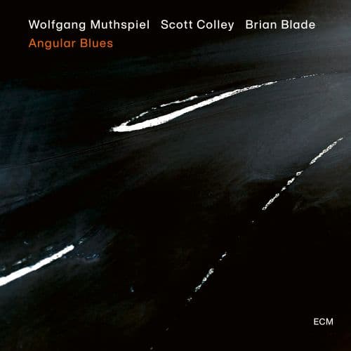 Muthspiel Wolfgang/Scott Colley: Angular blues (Vinyl LP)