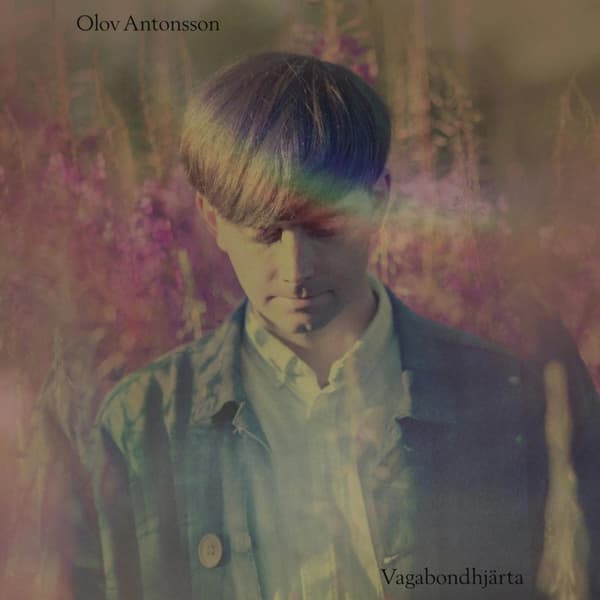 Antonsson Olov: Vagabondhjärta (Vinyl LP)