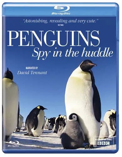 Penguins: Spy in the Huddle  (2013) David Tennant cert E  Blu-Ray Pre-Owned