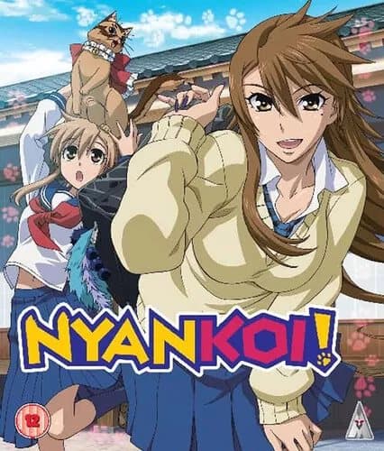 Nyan Koi!: Collection  (2016) Keiichirou Kawaguchi cert 12 2 discs Blu-Ray Pre-Owned