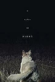 It Comes at Night  (2017) Joel Edgerton, Shults (DIR) cert 15  Blu-Ray Pre-Owned