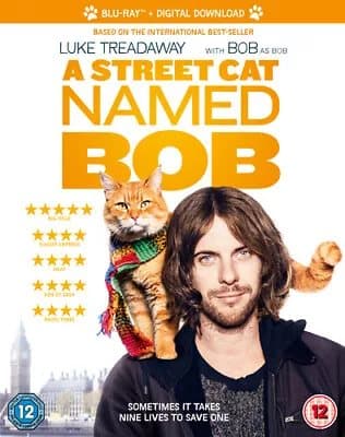 A Street Cat Named Bob  (2017) Luke Treadaway, Spottiswoode (DIR) cert Blu-Ray Pre-Owned