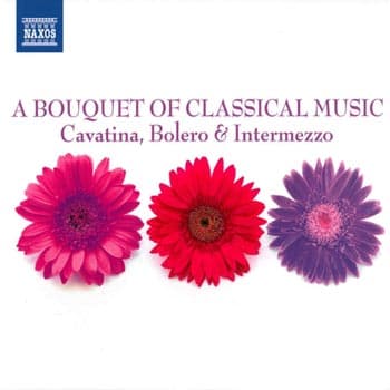 A Bouquet Of Classical Music (3 CD)