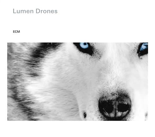 Økland Nils/Per Steinar Lie: Lumen drones 2014 (CD)