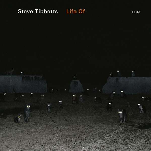 Tibbetts Steve: Life of 2018 (CD)