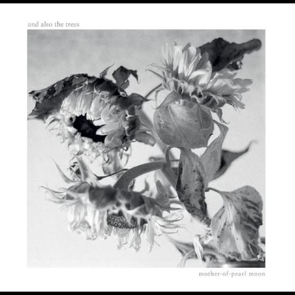 And Also The Trees: Mother-of-pearl Moon (Vinyl LP)
