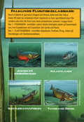 Pikkukuva 2 / 2: Fiskeboxen vol 2 (4 DVD)
