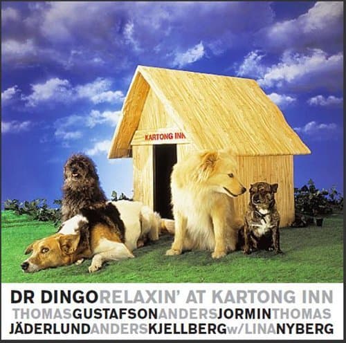 Dr Dingo: Relaxin' at Kartong Inn 2000 (CD)
