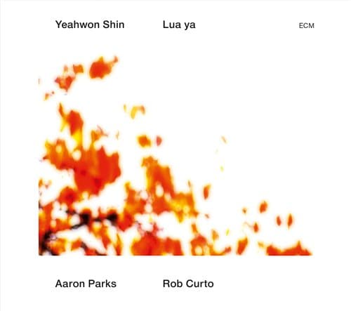 Yeahwon Shin: Lua ya 2013 (CD)