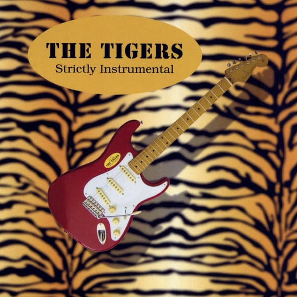 Tigers: Strictly instrumental 2021 (CD)