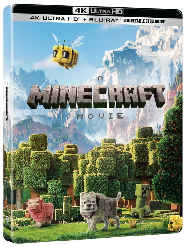 A MINECRAFT MOVIE