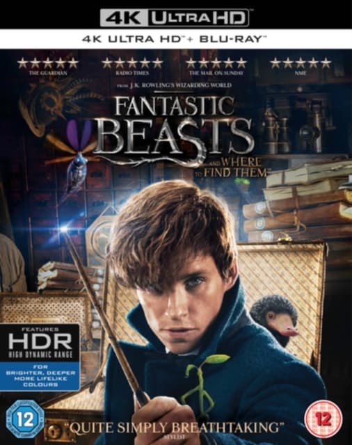 Fantastic Beasts and Where to Find Them (2 4K Ultra HD)