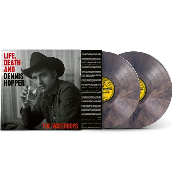Waterboys: Life Death and Dennis Hopper (Wave) (2 Vinyl LP)