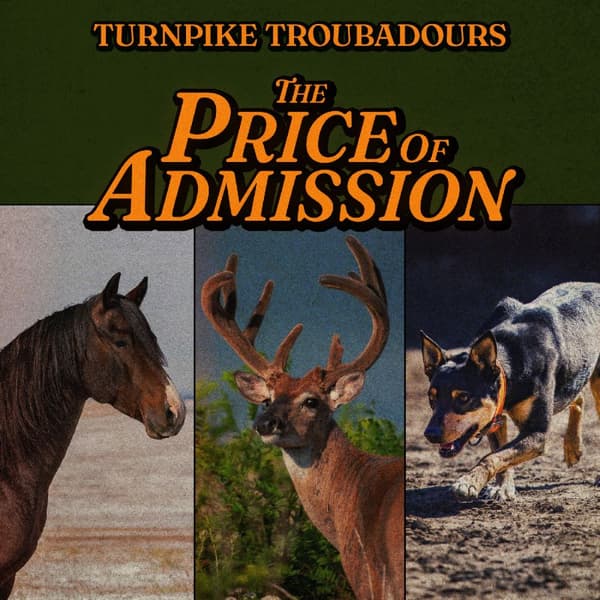 Turnpike Troubadours: The price of admission -24 (CD)