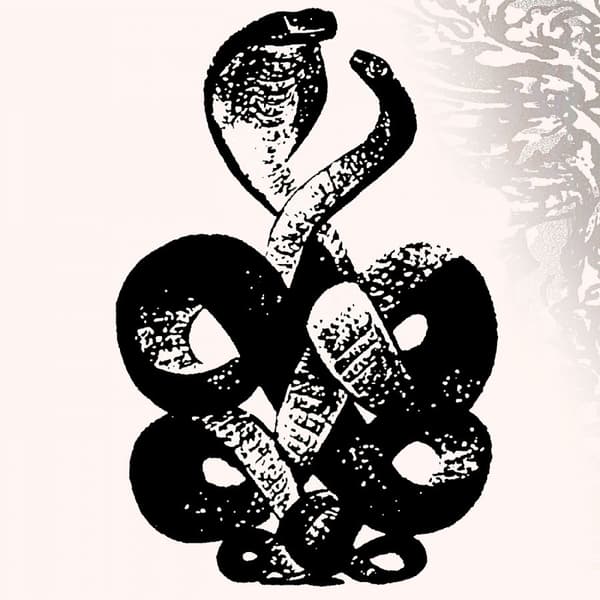 Bardo Pond: Volume 4 & 5 (2 Vinyl LP)