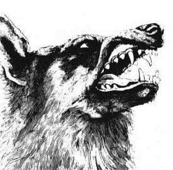 Crippled Black Phoenix: I Vigilante (CD)