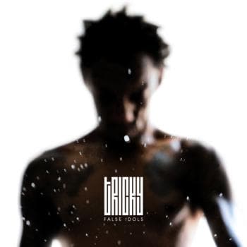 Tricky: False idols 2013 (CD)
