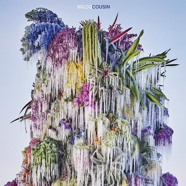 Wilco: Cousin (Vinyl LP)