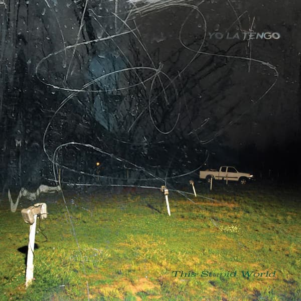Yo La Tengo: This stupid world (2 Vinyl LP)
