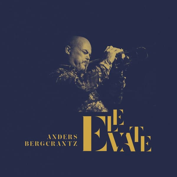 Bergcrantz Anders: Elevate (CD)
