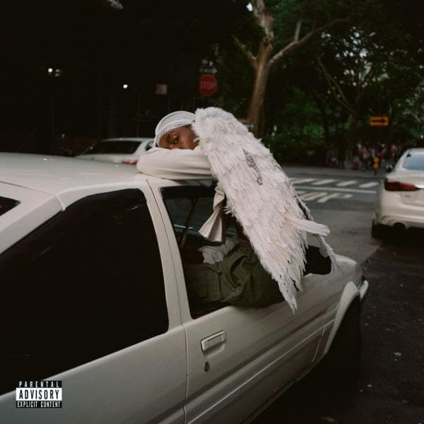 Blood Orange: Negro Swan (2 Vinyl LP)