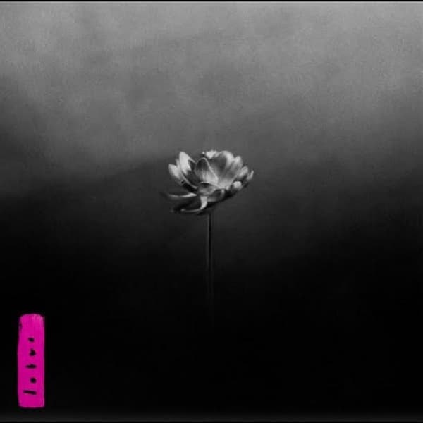 Little Simz: Lotus (CD)