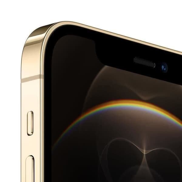 APPLE iPhone 12 Pro Max 256GB Guld - Renoverad - Mycket bra skick- REFURBISHED
