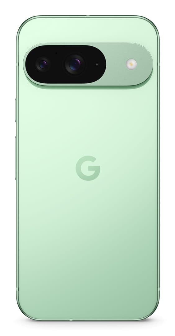Google Pixel 9 16 cm (6,3"), 12 GB, 128 GB, 50 MP, Android 14, Wintergreen