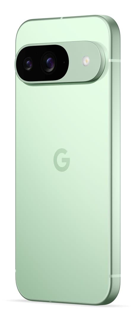 Google Pixel 9 16 cm (6,3"), 12 GB, 128 GB, 50 MP, Android 14, Wintergreen