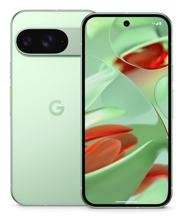 Google Pixel 9 16 cm (6,3"), 12 GB, 128 GB, 50 MP, Android 14, Wintergreen