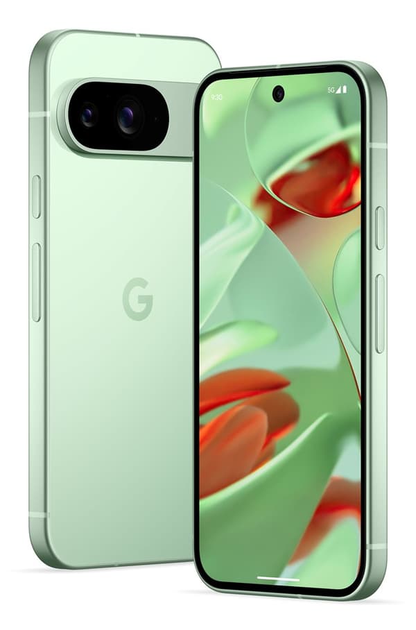 Google Pixel 9 16 cm (6,3"), 12 GB, 128 GB, 50 MP, Android 14, Wintergreen