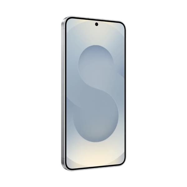 Samsung Galaxy S25+ 5G 12 Go/256 Go Grå (Silver Shadow) Dubbel SIM SM-S936B