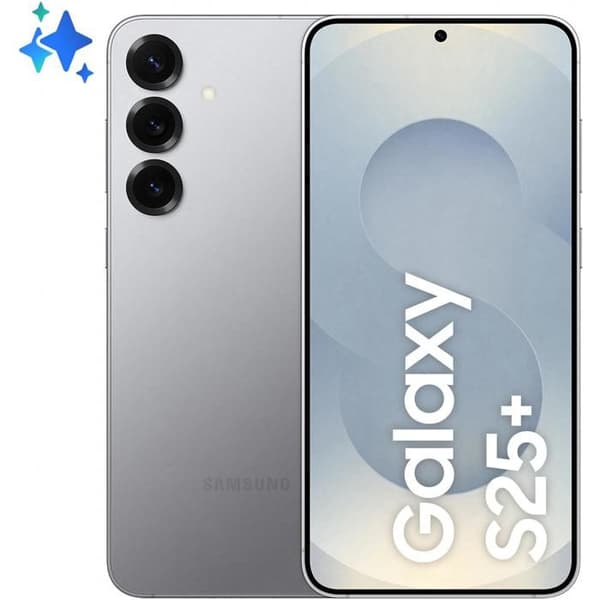 Samsung Galaxy S25+ 5G 12 Go/256 Go Grå (Silver Shadow) Dubbel SIM SM-S936B