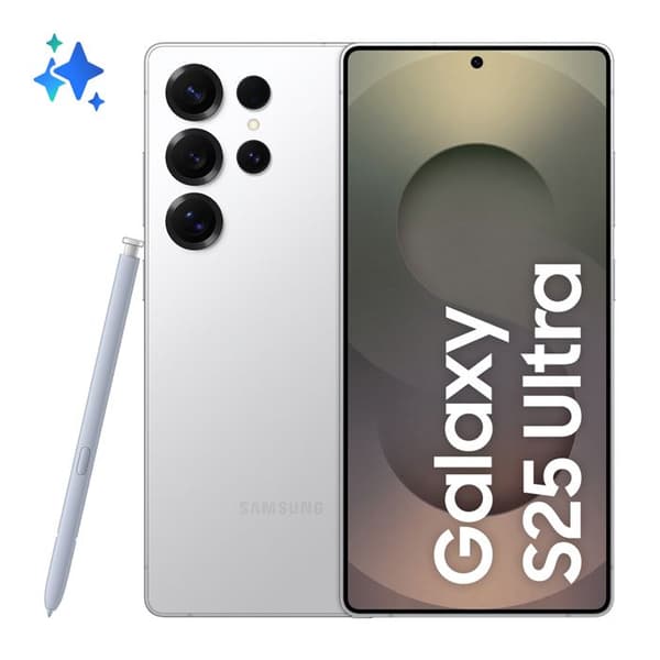 Samsung Galaxy S25 Ultra 5G 12 Go/512 Go Titan Vit Silver (Titanium White Silver) Dubbel SIM SM-S938B