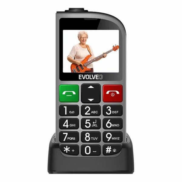 EVOLVEO EasyPhone FL silver with charging dock