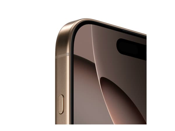 Apple iPhone 16 Pro Max 256GB – Ökentitan (Grade A+, begagnad i toppskick)
