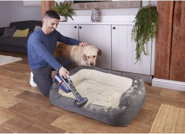 Black & Decker BHHV520BFP handdammsugare Svart, Violet påslös