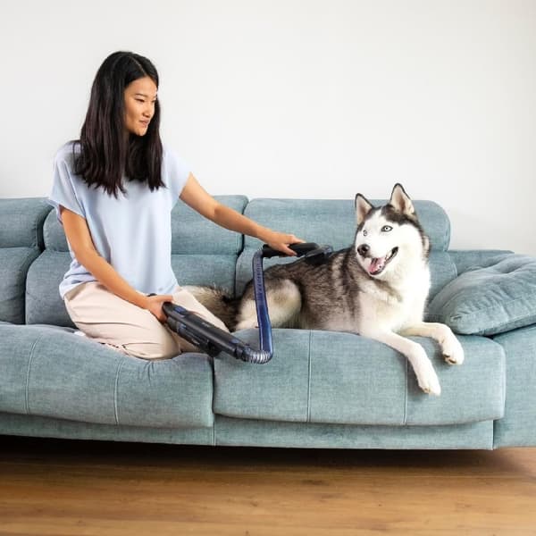 Cecotec Scoba 2100 Twice Animal upright vacuum cleaner with 210 W Digital Brushless motor and 20 kPa suction power. Autonomy of 45 minutes. 2 power l