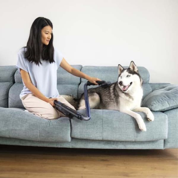 Cecotec Børste Støvsuger Scoba 2100 Twice Animal