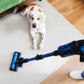 Miniatyrbild 5 av 10: Cecotec Conga Rockstar 8500 Infinity Ergowet Animal T Kvast Dammsugare