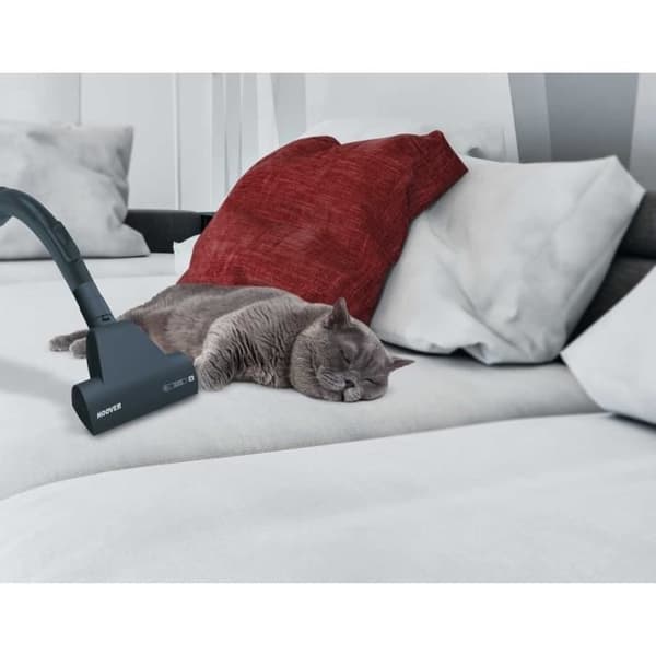 HOOVER XP81_XP25 påslös kanisterdammsugare, kraftfull 800W kompakt cyklonteknologi Stor kapacitet 1,5 l husdjurshårborste