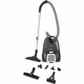 Miniatyrbilde 1 av 2: Ekstraktor Hoover Telios Extra Lite TXL20PET011 Grå 700 W