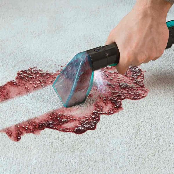 Cecotec Conga 5000 Carpet&spot Clean Verhoiluimuri  One Size / EU Plug