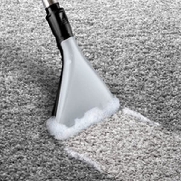 Poistin BOSCH BWD421PET Musta Punainen Musta/Punainen